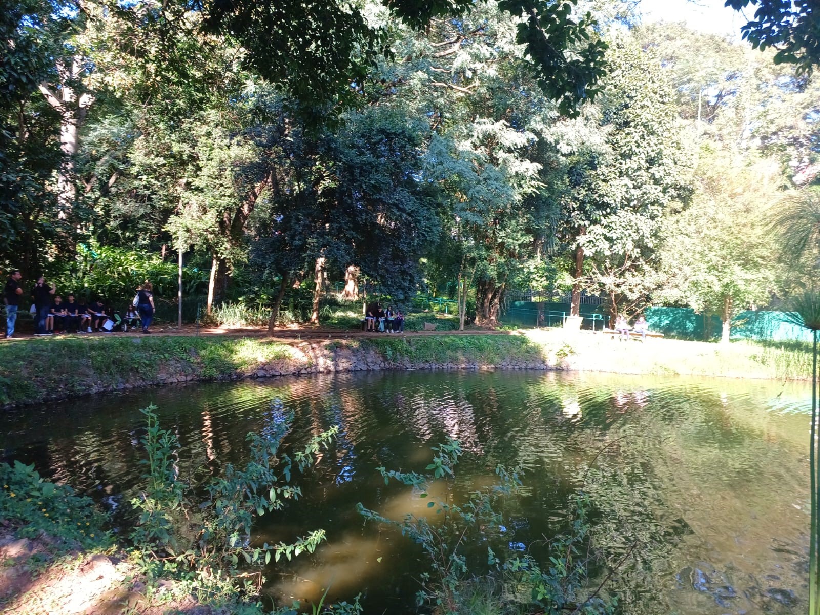 Col�gio Estrela S�rius