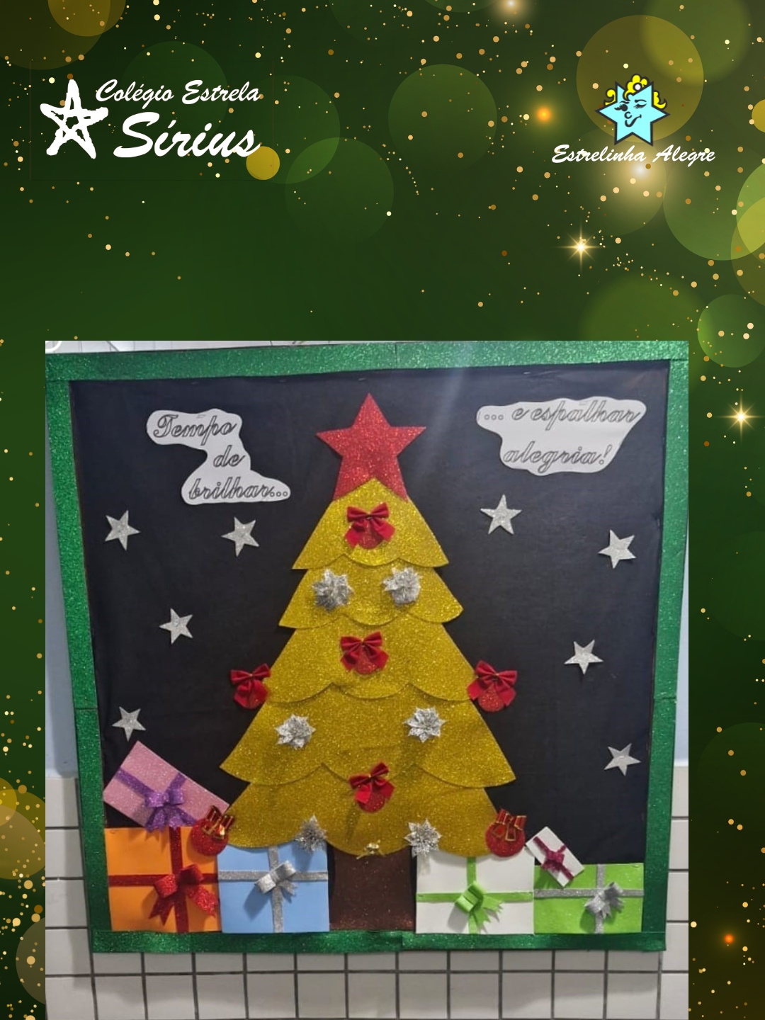 Colgio Estrela Srius