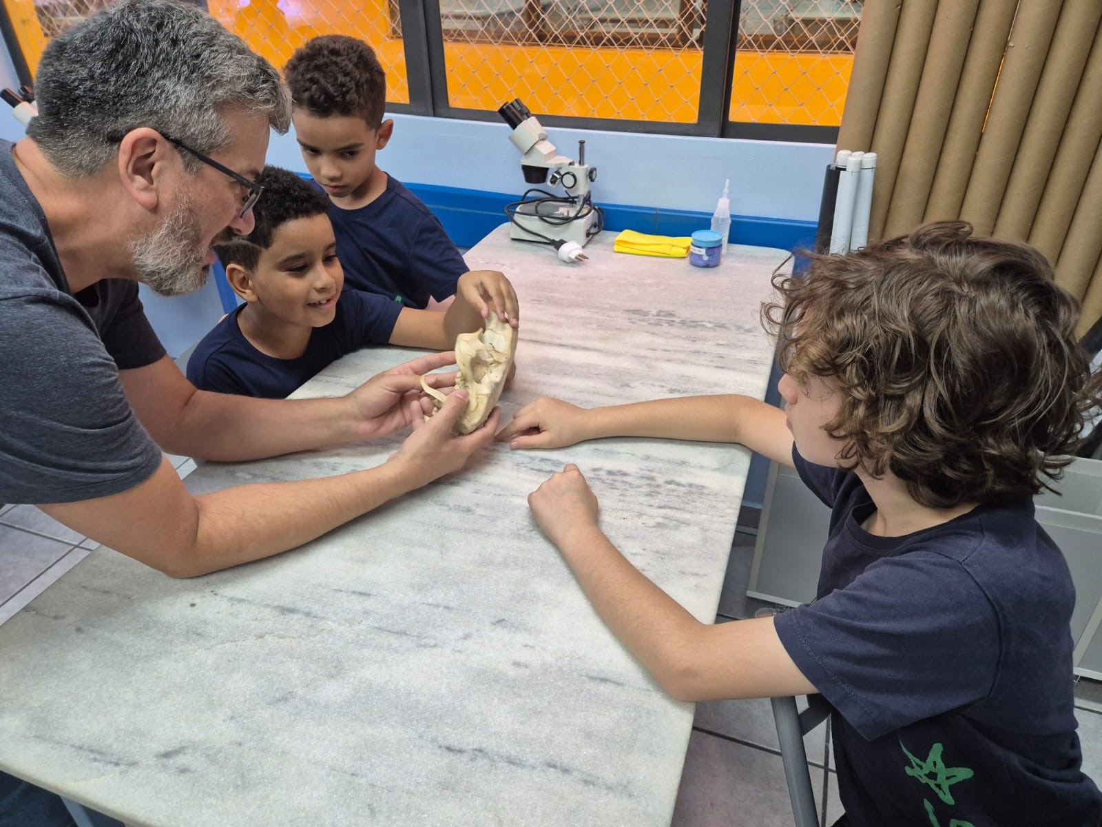 Col�gio Estrela S�rius