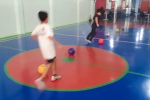  - Colgio Estrela Srius