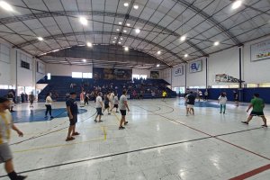  - Colgio Estrela Srius