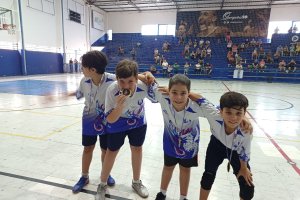  - Colgio Estrela Srius