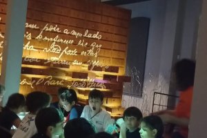  - Colgio Estrela Srius