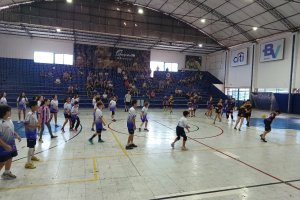 - Colgio Estrela Srius