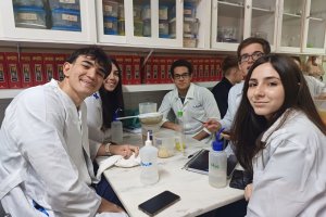  - Colgio Estrela Srius