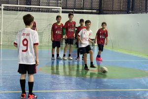  - Colgio Estrela Srius