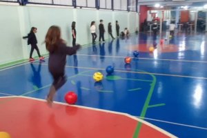 Projeto Bola - Colgio Estrela Srius