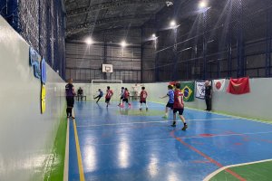  - Colgio Estrela Srius