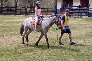  - Colgio Estrela Srius
