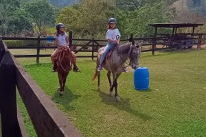  - Colgio Estrela Srius