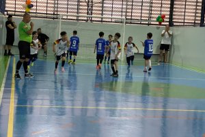  - Colgio Estrela Srius