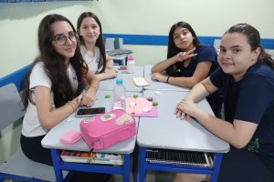 - Colgio Estrela Srius