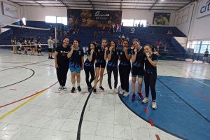  - Colgio Estrela Srius
