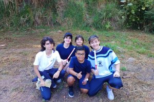  - Colgio Estrela Srius