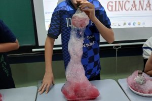  - Colgio Estrela Srius