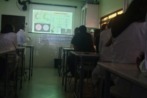  - Colgio Estrela Srius