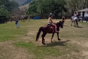  - Colgio Estrela Srius