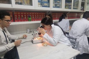  - Colgio Estrela Srius