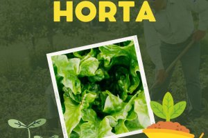 Horta - Estrelinha Alegre - Colgio Estrela Srius