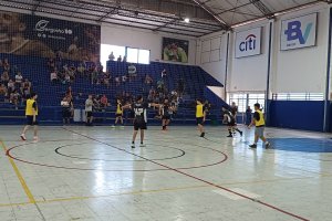  - Colgio Estrela Srius