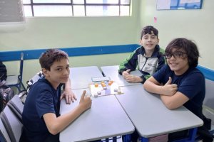  - Colgio Estrela Srius