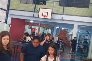  - Colgio Estrela Srius