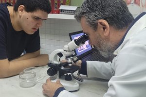  - Colgio Estrela Srius