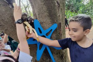  - Colgio Estrela Srius