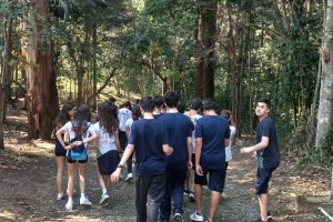  - Colgio Estrela Srius
