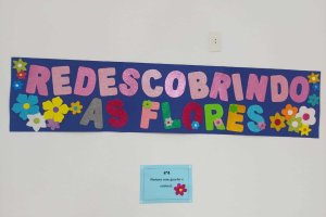  - Colgio Estrela Srius