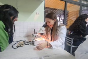  - Colgio Estrela Srius