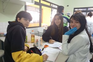  - Colgio Estrela Srius