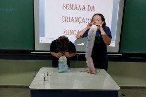  - Colgio Estrela Srius