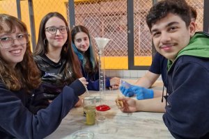 Alunos do 2 Ano do Ensino Mdio avaliam experimentalmente o deslocamento do equilbrio qumico. Confira! - Colgio Estrela Srius