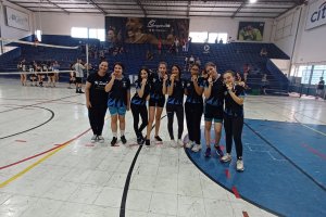  - Colgio Estrela Srius