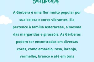  - Colgio Estrela Srius