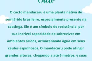  - Colgio Estrela Srius