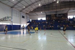  - Colgio Estrela Srius