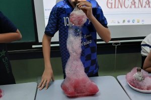  - Colgio Estrela Srius