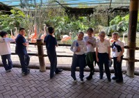 - Colégio Estrela Sírius  - Colégio Estrela Sírius