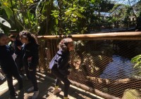 - Colégio Estrela Sírius  - Colégio Estrela Sírius