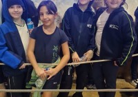 - Colégio Estrela Sírius  - Colégio Estrela Sírius