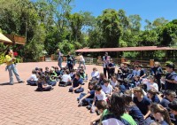 - Colégio Estrela Sírius  - Colégio Estrela Sírius