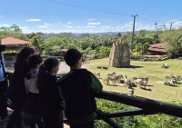 - Colégio Estrela Sírius  - Colégio Estrela Sírius