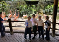 - Colégio Estrela Sírius  - Colégio Estrela Sírius